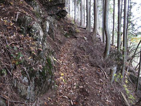 20151116hike (175)